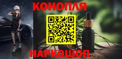 прущие грибы Среднеуральск