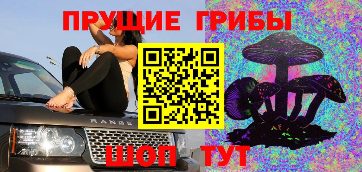 Псилоцибиновые грибы Psilocybe Петрозаводск