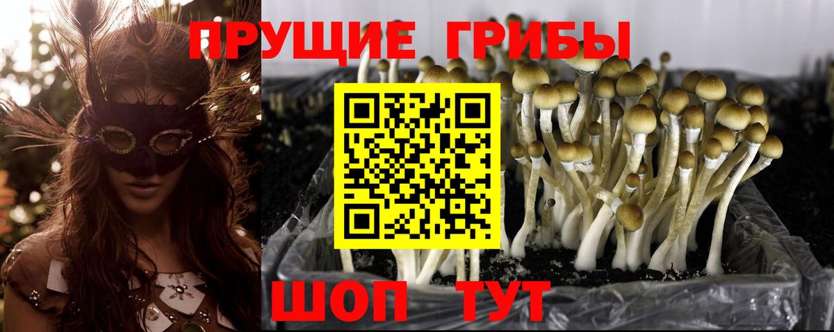 Псилоцибиновые грибы Magic Shrooms  Вход с VPN  Петрозаводск 